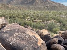 Petroglyphs on Signal Hill at Saguaro National Park West