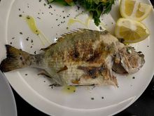 Simple grilled dorado