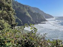 Looking down on the beach from the lighthouse.  You can see that the Oregon Coast is rounder, taller cliffs, the forest doesn't come right down to the beach like in Washington.  Maybe at some places?