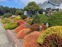 We saw this yard driving out of Trinadad.  Had to take a picture of this.