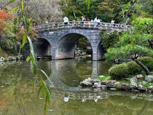 We then visited the nearby temple halls, pagodas and bridges of Bulguk-sa. It is a head temple of the Jogye Order of Korean Buddhism and contains six National Treasures, including the Dabotap and Seokgatap stone pagodas, Cheongun-gyo (Blue Cloud Bridge), and two gilt-bronze statues of Buddha. The temple is classified as Historic and Scenic Site No. 1 by the South Korean government. In 1995, Bulguksa and the nearby Seokguram Grotto were added to the UNESCO World Heritage List.