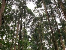 A wonderful walk into the beauty of the island 