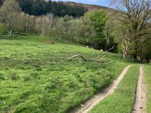 Clear path to follow in sheep field!