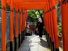 Not as big as the arches / gates in Kyoto, but still pretty