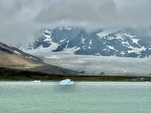 We zodiac to the distant beach where there’s the largest colony of King penguins in South Georgia. If we scroll in you can kinda see the ones lining the beach.