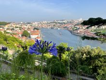 View from the crystal palace garden 