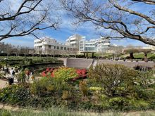Central Garden Getty Museum