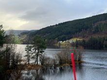 Scenes from the window