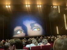 Tina - The musical about Tina Turner. 
Please use seats 10 rows back!  Was faaaabulous!