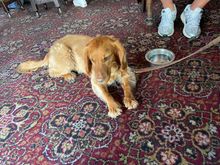 Local celeb at Churchill Arms