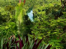 From our lodging area looking down on the Rio Grande