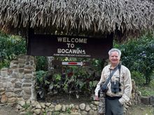 This morning’s activity 