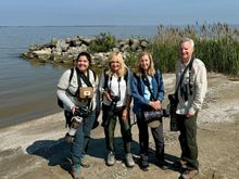 Birding on the beach!