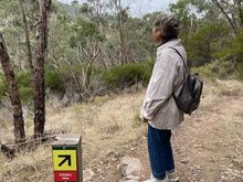 To the waterfall (I’m calling out the fake news) 