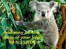 This guy wanted to join me in wishing you a Most Blessed Life.  