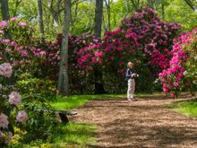 After the 8th attempt.... Anyhoo, Heritage Gardens were gorgeous!