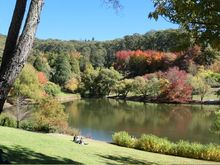 The lake