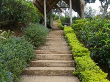 This is an extensive property, with paths and stairs throughout.  You can call for a tuk-tuk to get around. 