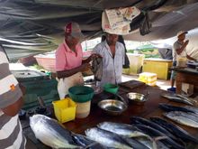 Fish market