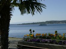 Someone maybe enroute to Mainau