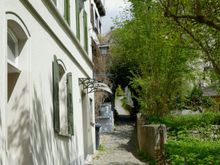 Little trails and alleys are everywhere, and I wish I could follow them all.