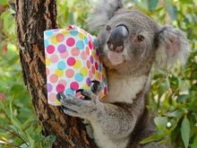 And this guy has a gift you you, grab  it, cathies, before it slips out of his hands !!!

Happy Birthday