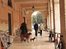 Under the riverside portico.