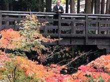 Beautiful walk to the Iwami Ginzan Silver Mine