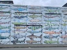 Look closely, some of the fish are pretty goofy