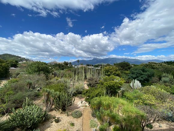 View from Museo de Cultura 