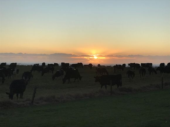 Sunset Carters Beach