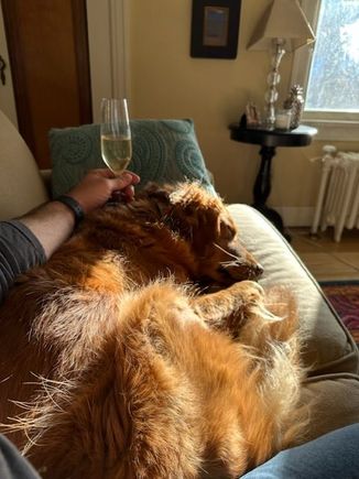 Molly unimpressed by Tommy Mellott and Bobcat dominance.