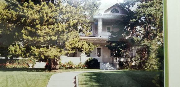 Front View. Vi planted  hundreds of Geraniums