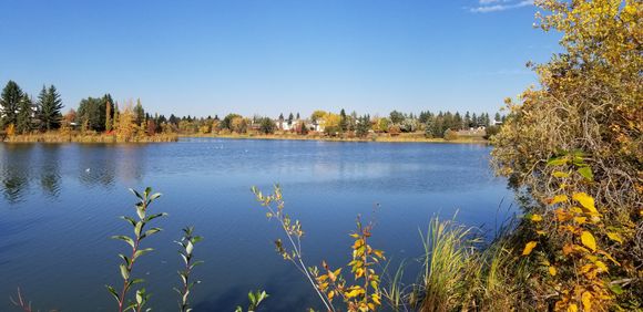It take about 45 minutes to walk all around the lake, but of course ,you stop along the way to see the birds