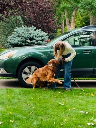 Bad Molly  was very excited when Kate got out of the car. 