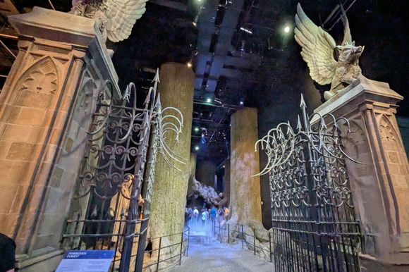 Entering the Forbidden Forest