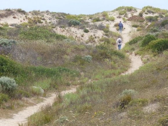 Parents crossing the dunes to the beach