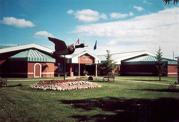 This is duck hunting country and that Mallard Duck is bigger than it looks