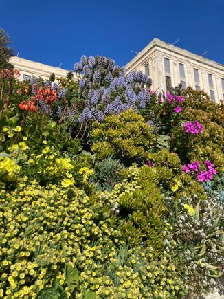 Garden of Alcatraz