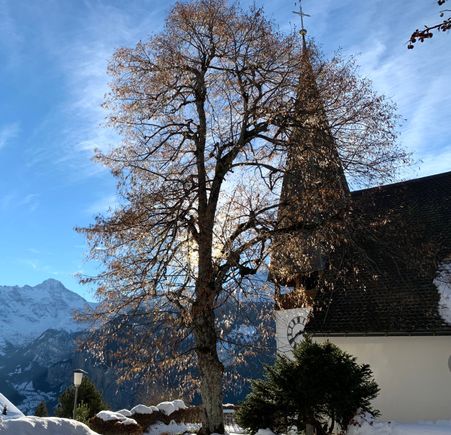 Hard to believe it is the 4th Sunday of Advent already!!