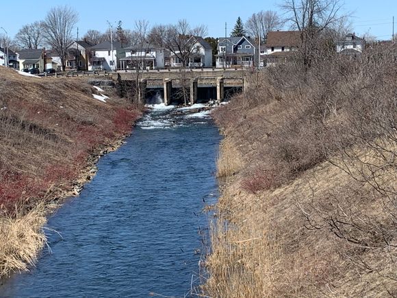 Dams can be seen from the riverside trails.