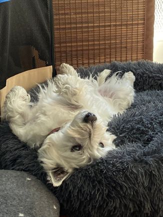 Per your request Percy. Here’s Barry chillin’