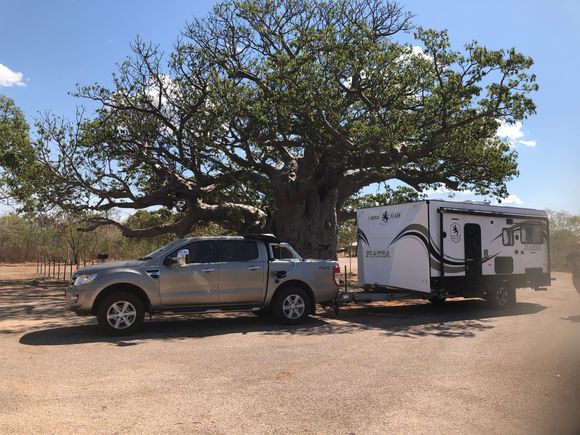 Loved this Boab tree. 