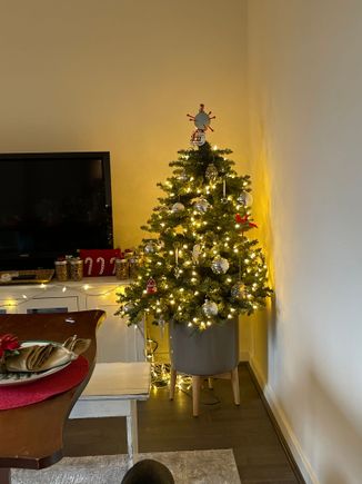 We got her this little tree the first time she held our family Christmas. 