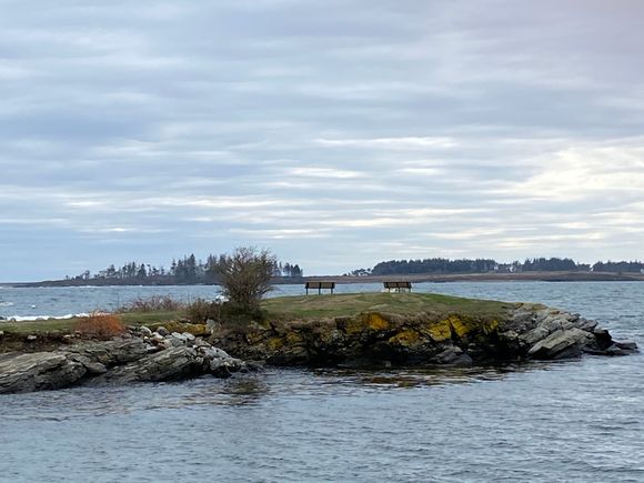 Mr Gruezi loved sitting on the bench up here. 
