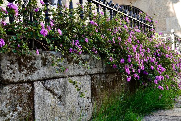 Lots of old stone walls