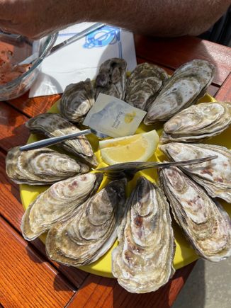 The oysters are so plump and sweet!