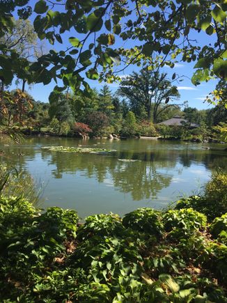 I’m seeing if I can add a photo. This is the place where I volunteer. Anderson Japanese Gardens today. 
