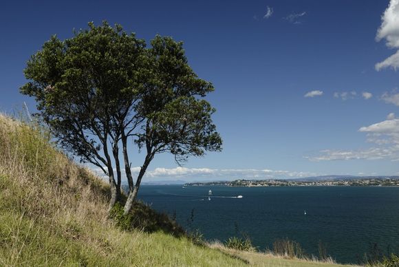  View from North Head