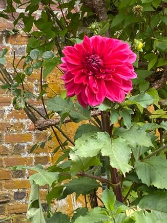 Loved this bright color. 